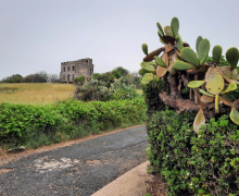 20220505_101010